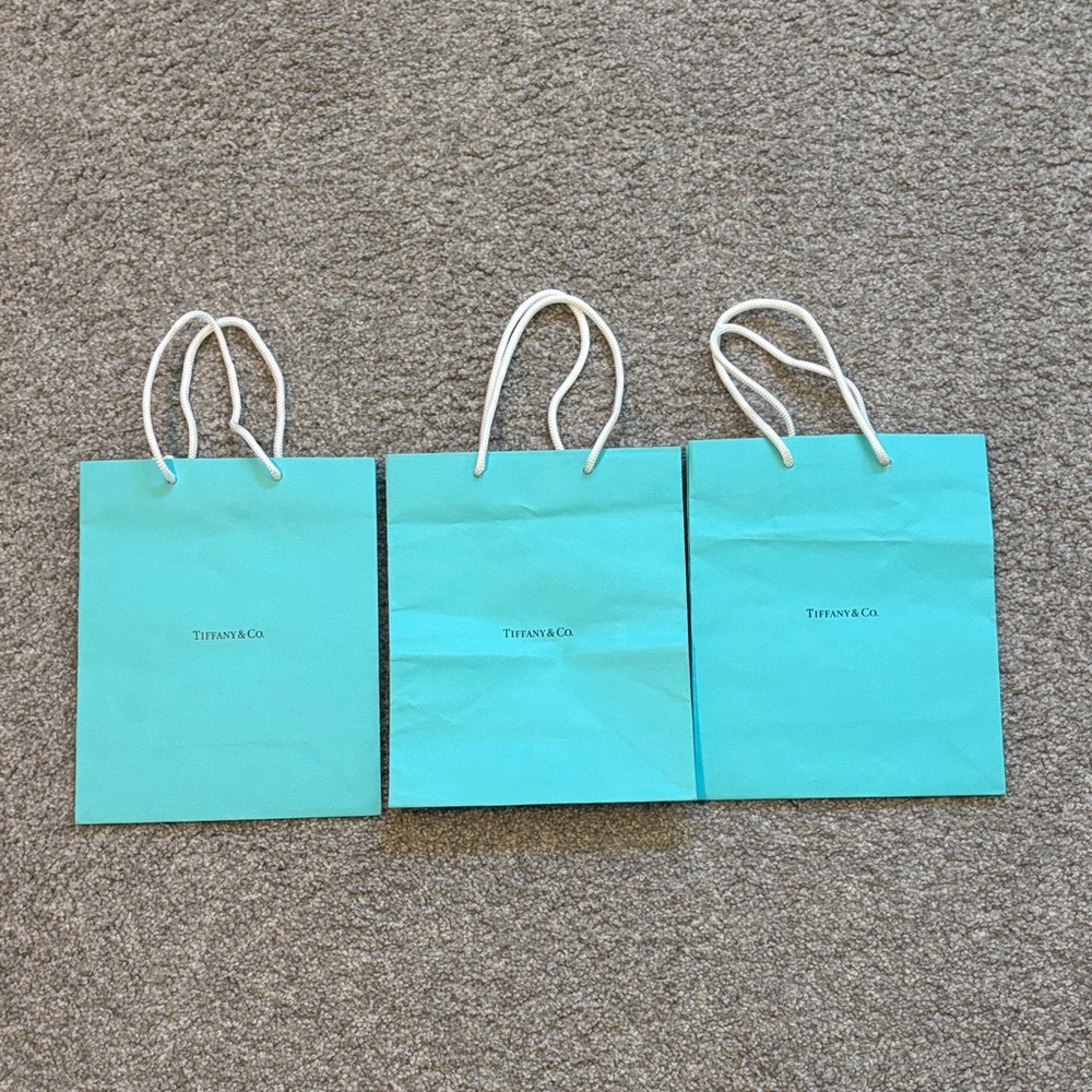 Tiffany & Co. Small Turquoise Paper Tote Bags w/ White Rope Handles 9 3/4” X 8”